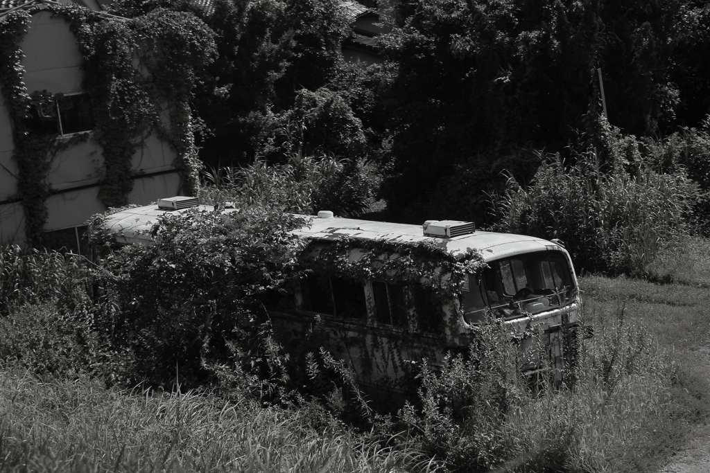 時の過ぎゆくままに