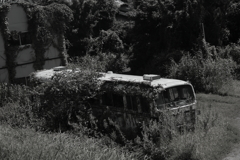 時の過ぎゆくままに