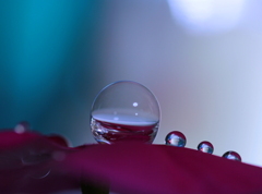 心海DROPS・・・ハーフ&ハーフ（空気と水）