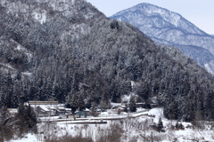 ダイコン君は走る～♪