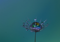 （雫）オーロラ