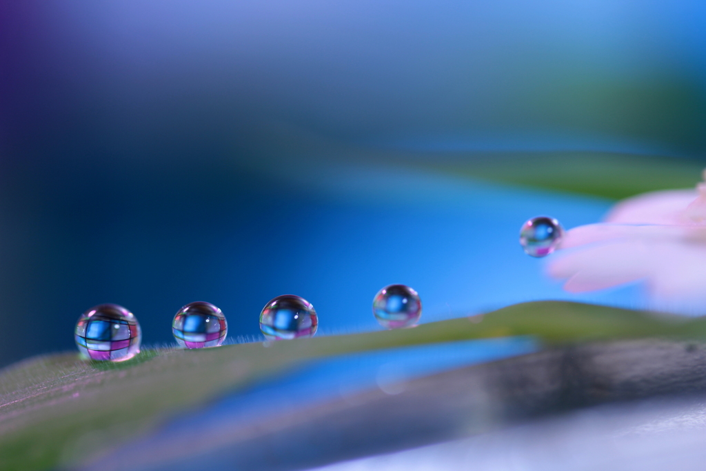 心海DROPS・・・メルヘン村の雫工房