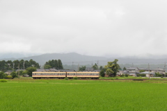 田園を走るダイコン電車