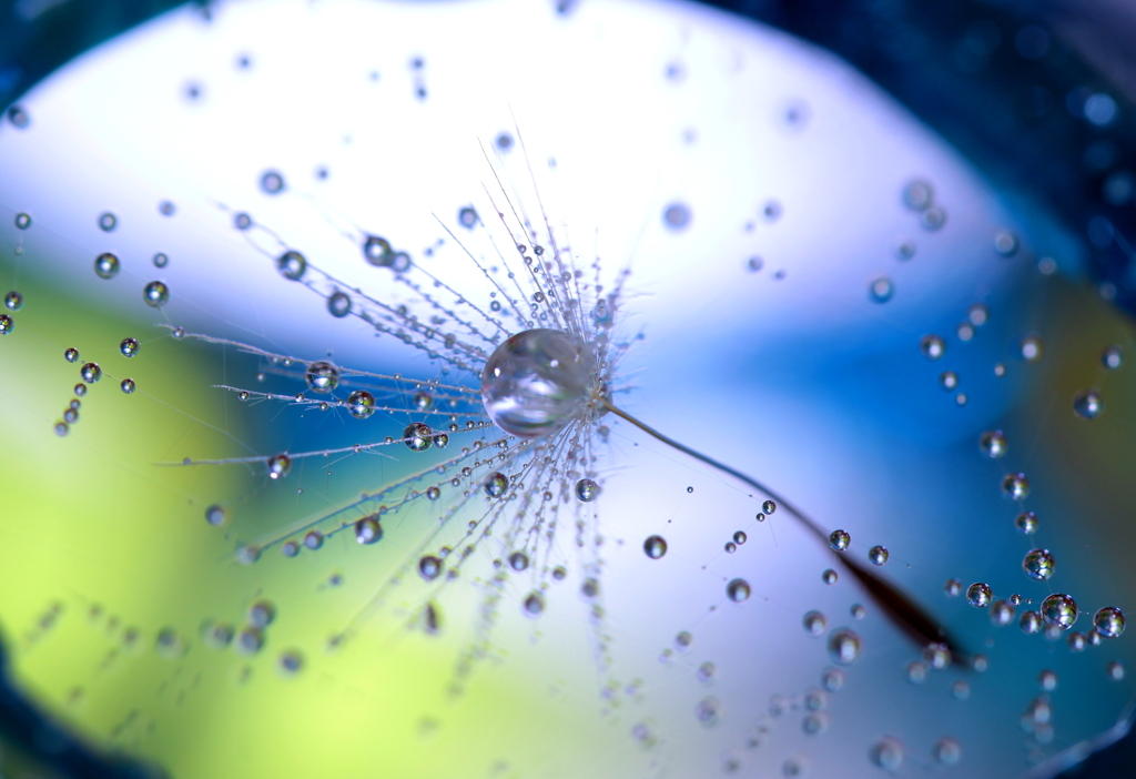 囚われて・・・鏡よ鏡・・