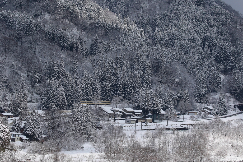雪山を行く～ダイコン電車