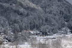 雪山を行く～ダイコン電車