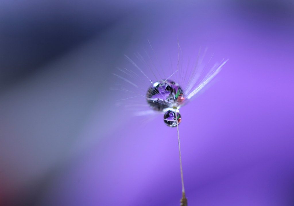 留まること知らない時の中で～♪