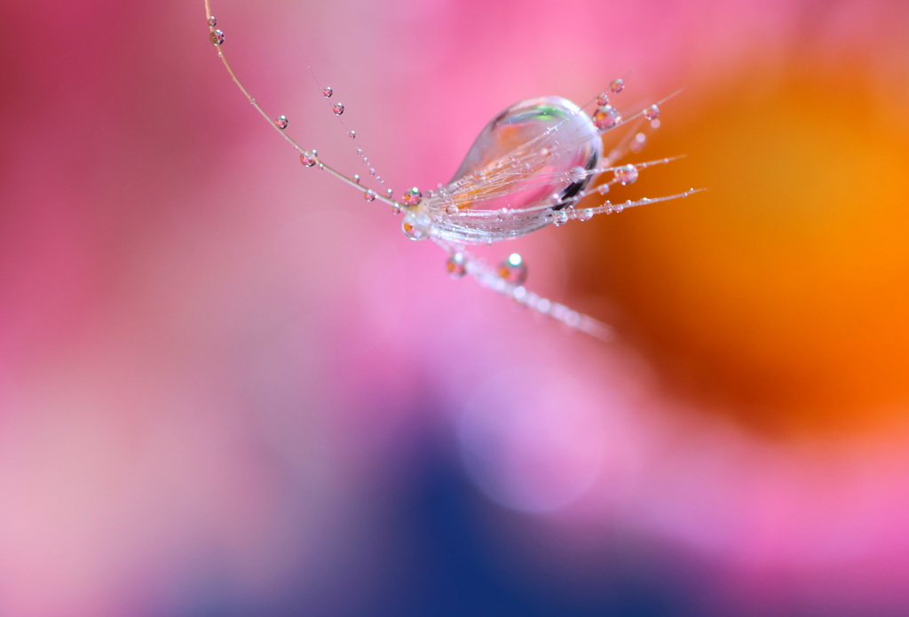 雫花のブローチ