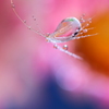 雫花のブローチ