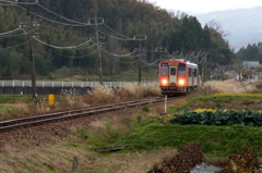 同じ場所で・・・キハ君の兄弟