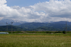 山々と麦畑