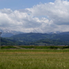 山々と麦畑