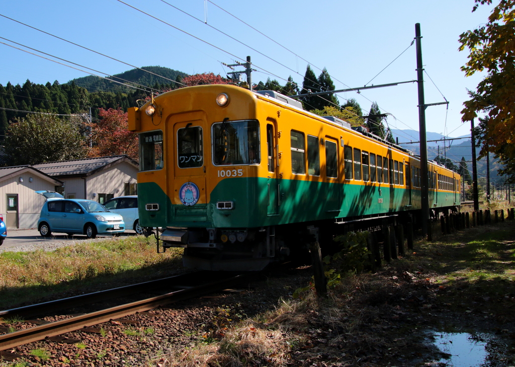 かぼちゃ君～♪