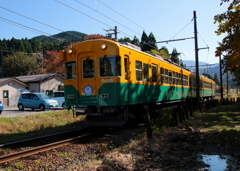 かぼちゃ君～♪