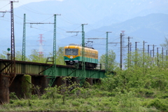 若草の萌ゆる頃・・・かぼちゃ君は走る～♪