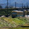かぼちゃ君～♪沿線に芒が揺れ～♪