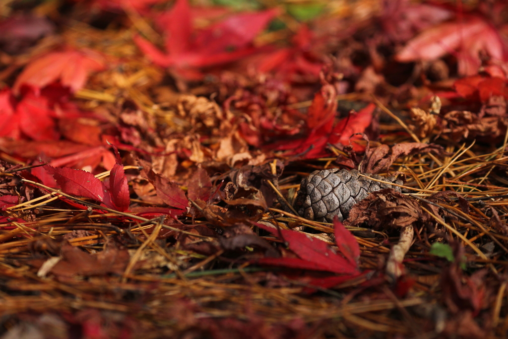 優しさに包まれて