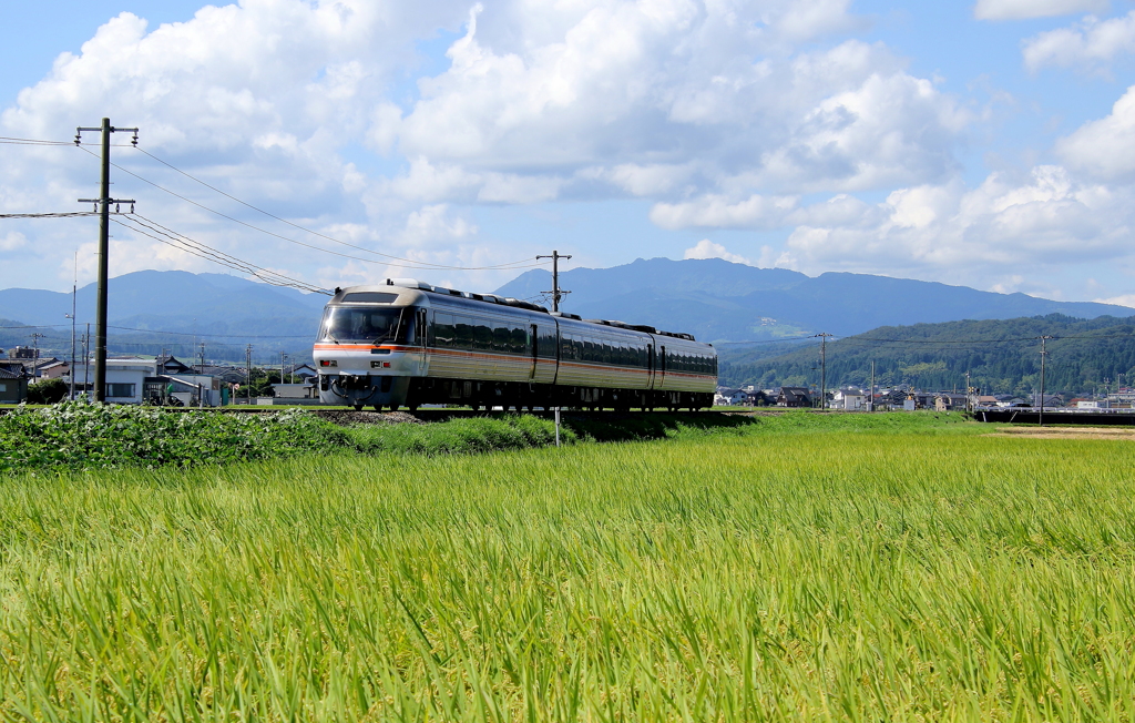 ワイドビューひだ・・・・通過しました^^♪