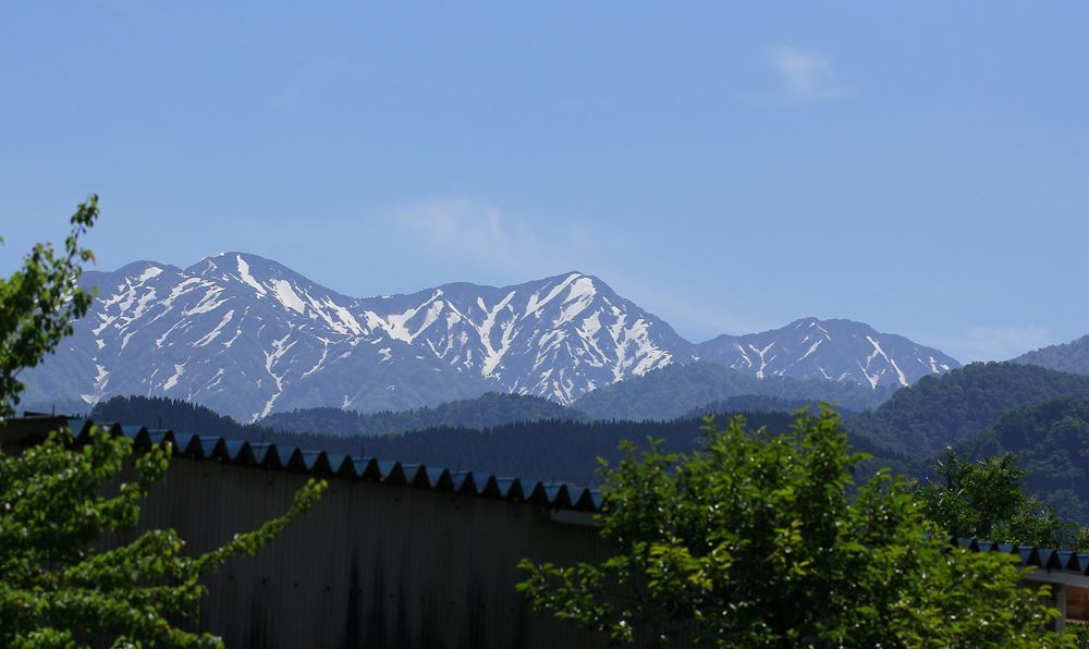 立山にはまだ雪が・・・。