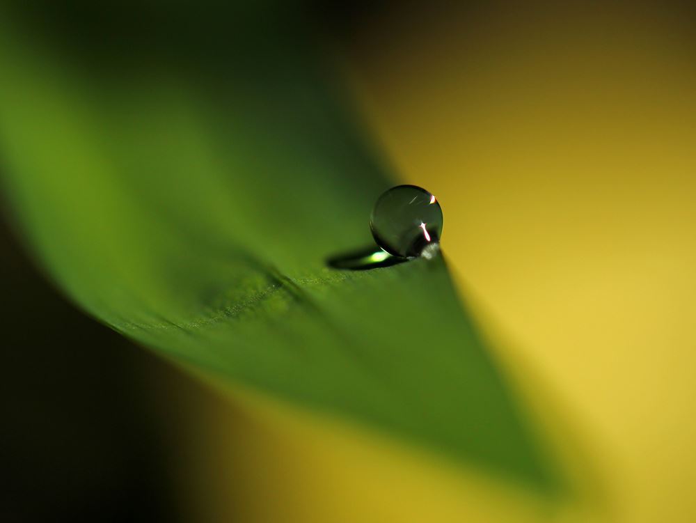 一粒、無心の時