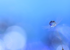水色に季節は変わり