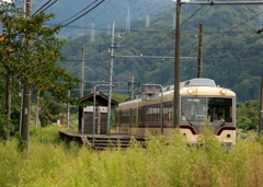 ダイコン君　乗客を乗せて走ります～♪