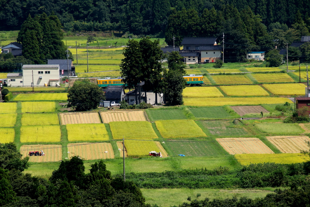 秋の田園を走る