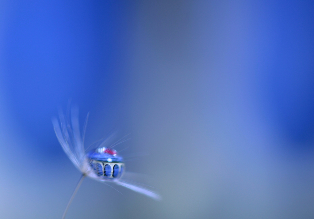 明日に架ける橋