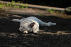 疲れたら寝るに限る