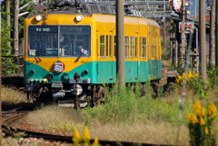 かぼちゃ君～♪