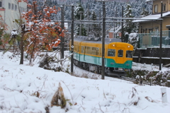 雪を走る