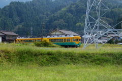 かぼちゃ君～♪