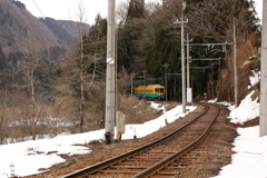 かぼちゃ君の旅