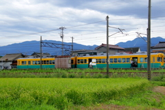 かぼちゃ君~♪