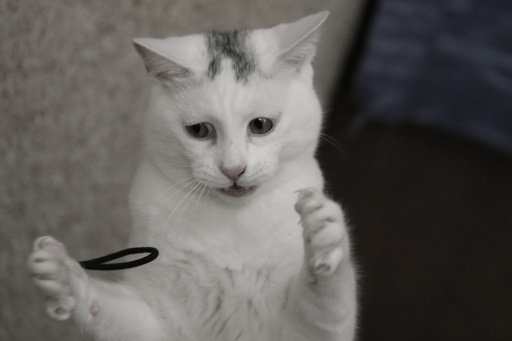 アチョ～！