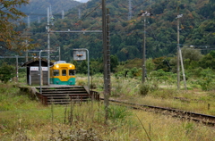 かぼちゃ君~♪