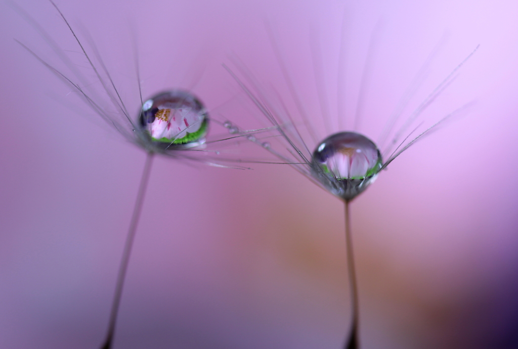 心海ＤＲＯＰＳ　84