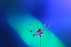 ノックターン～♪