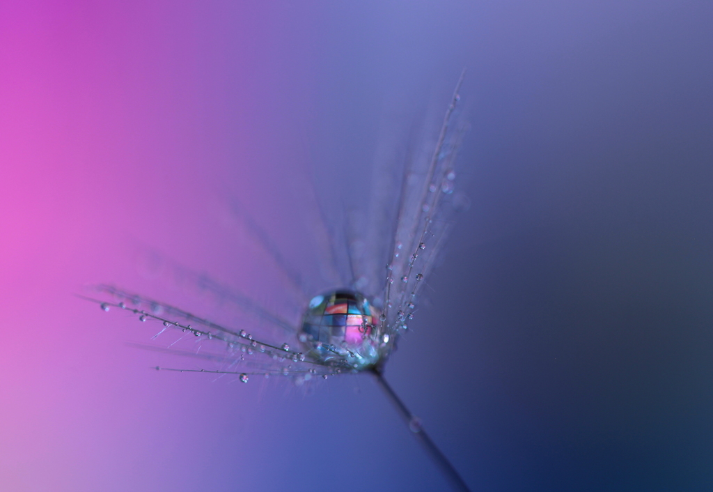 主題とへんそう　1