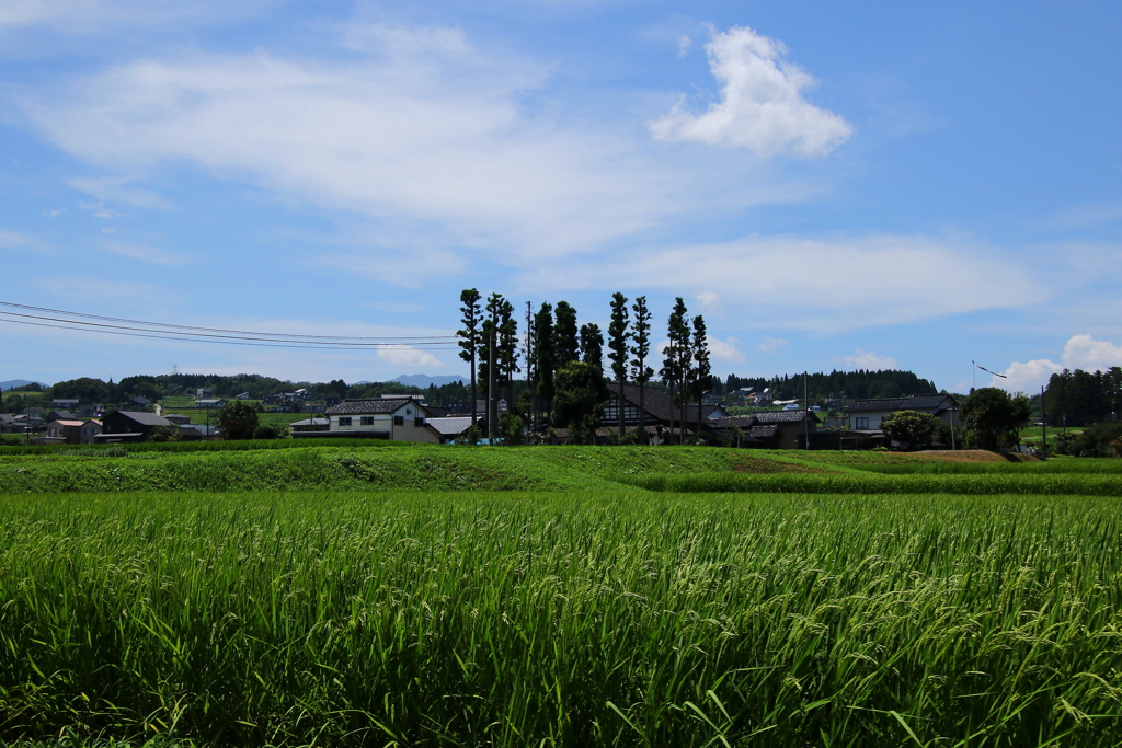 夏風はいつの間にか秋を招き入れ・・・。