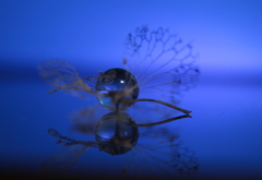 リアルな幻想
