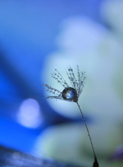 空に魅せられて