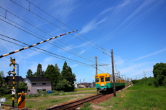 おお～い！かぼちゃ電車君