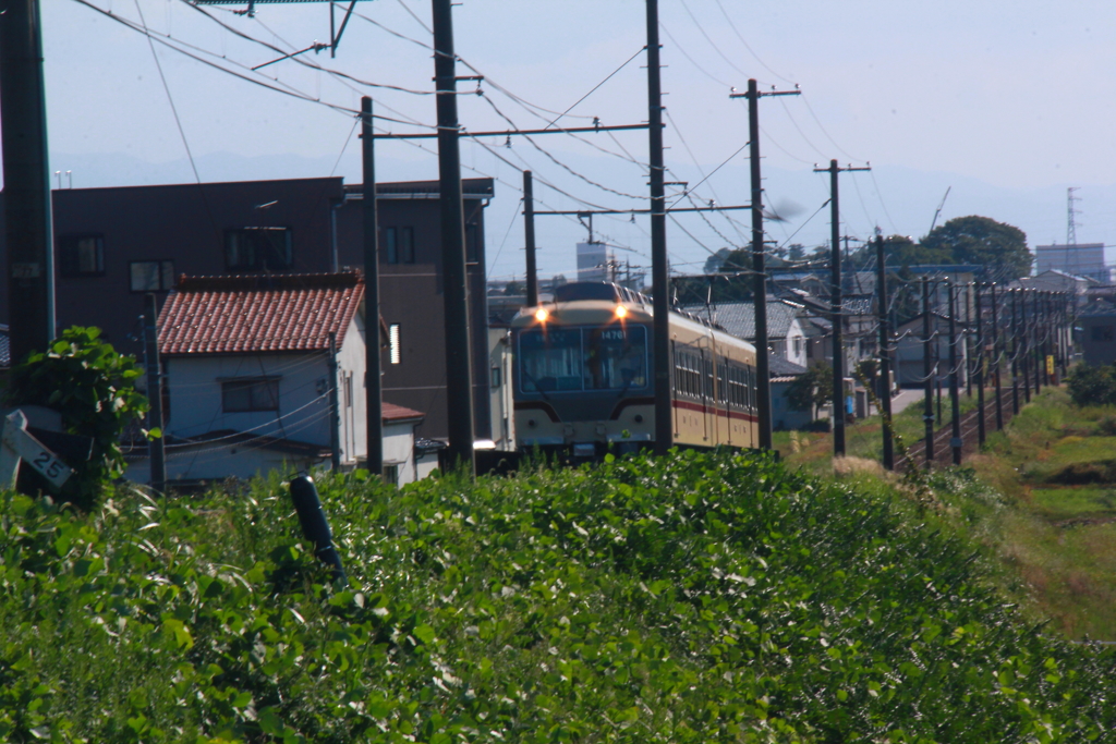 なんだ坂、こんな坂～