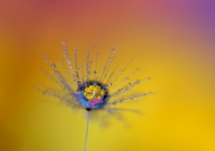 地上の星（生きる道）