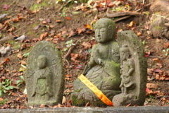 散りゆくもまた