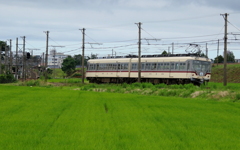 ダイコン君～♪
