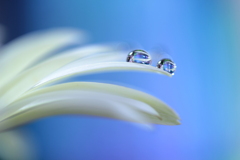 心海ＤＲＯＰＳ　97