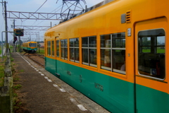 ｗ・・かぼちゃ君~♪