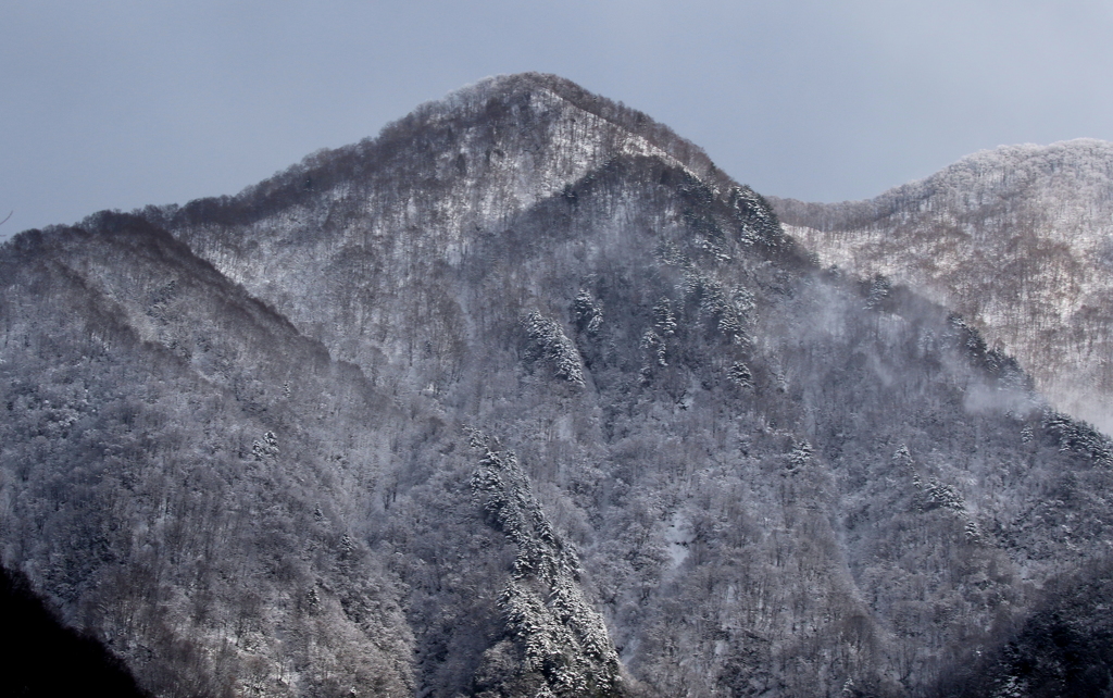 山